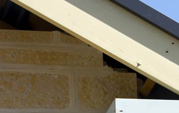 soffit repair Tanysgafell
